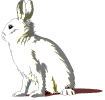 bgunny.gif - 2539 Bytes